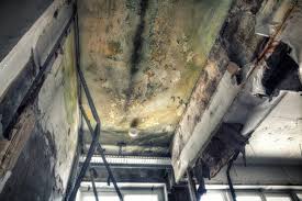 Best Comprehensive Air Testing for Mold Contaminants  in Sedalia, MO